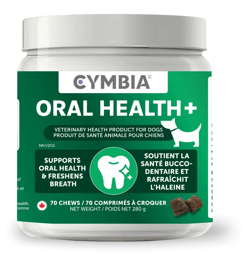 Oral Health Dental Chews for Dogs